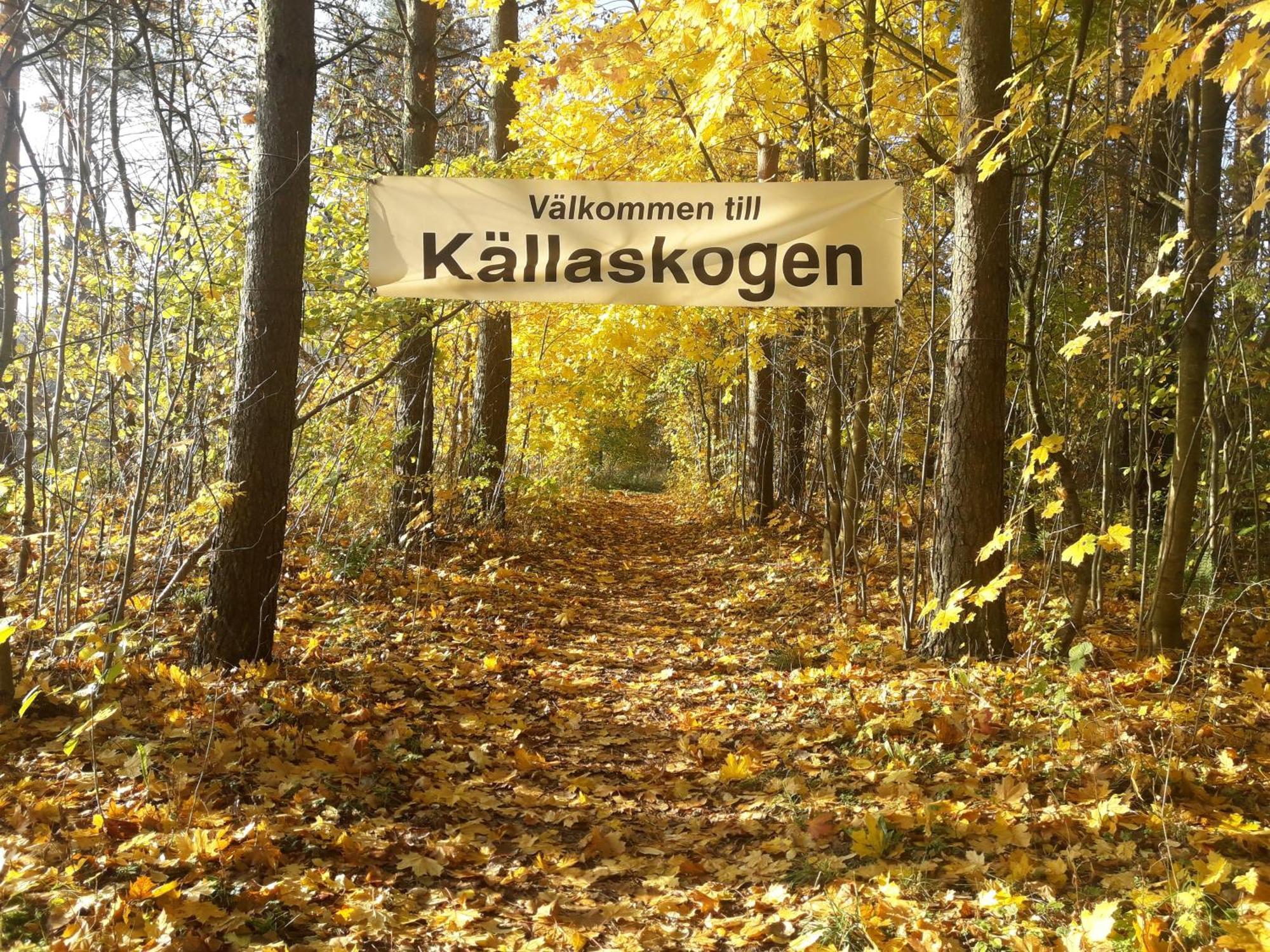 Broesarp Kaellagarden Stora Gardslaegenheten Εξωτερικό φωτογραφία